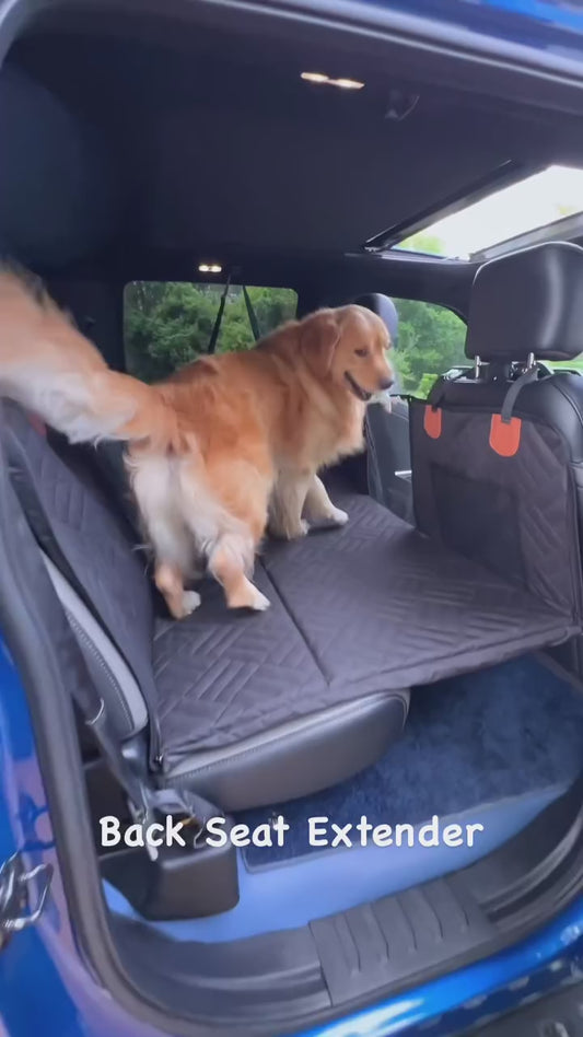 Car seats protect for dogs